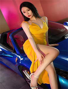 组织部长玩公安局长全部
