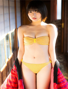 电影杀破狼